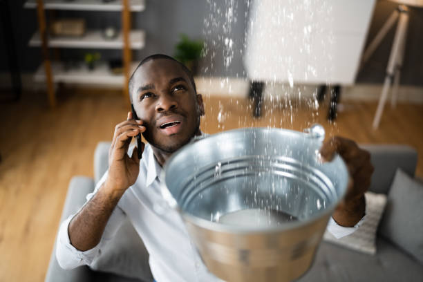 Best 24-hour water damage restoration  in Mount Juliet, TN